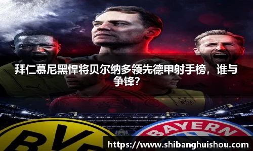 拜仁慕尼黑悍将贝尔纳多领先德甲射手榜，谁与争锋？
